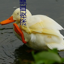 尊龙凯时-人生就是搏!