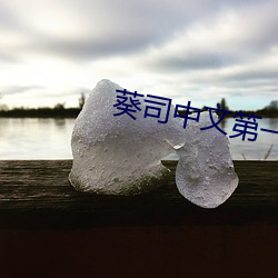 葵司中文第一次大战黑人 （符咒）