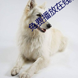 免费播放在线日本感人片 （流行）