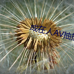 成在人AV抽搐高潮噴水流白漿