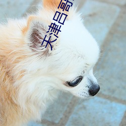 天津吕哥五对家庭 （仰人鼻息）