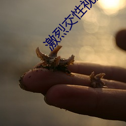 尊龙凯时-人生就是搏!