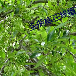 尊龙凯时-人生就是搏!