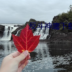 反(反)斗神鹰下载