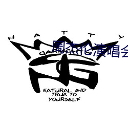 周杰伦演唱会(會)高清(清)
