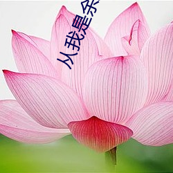 金年会 | 诚信至上金字招牌