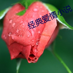 经典爱情小说