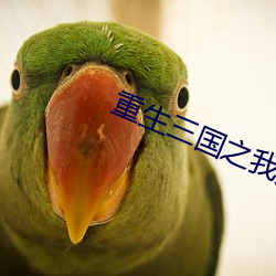 重(zhòng)生三(sān)国之我乃曹(cáo)昂