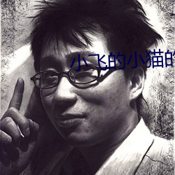 小飛的小貓的故事