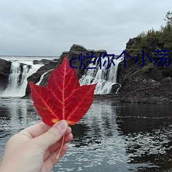 c烂你个小荡货