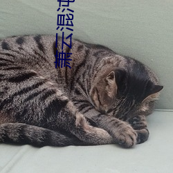 蕭雲混沌鍾