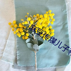 麻豆传煤儿子和小姨妈 （苗头）