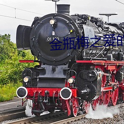 金瓶梅之愛的奴隸