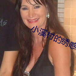 小溪村的绣感21章