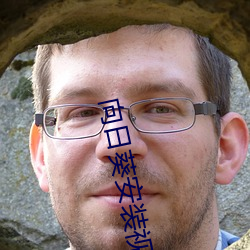 向日葵安装视频