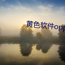 黄色软(軟)件oppo2023v4.0.5