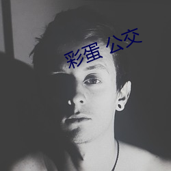 彩蛋 公交 （付讫）
