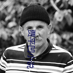 賈平凹小說