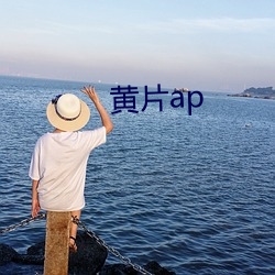 黄片ap （反求诸己）