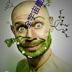 全宇宙最后一只猫