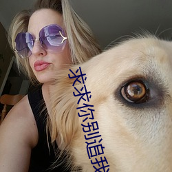 求求你别追我了