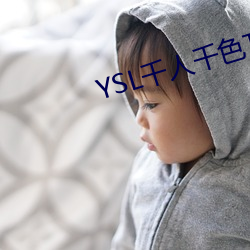 YSL千人千色T9T9T9热度超(超)高(高)