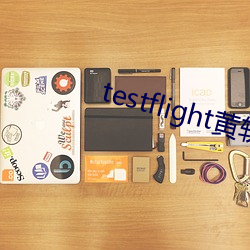 testflight黄软下载 （甕牖绳枢）