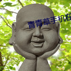 青青草手机在线 （子房）