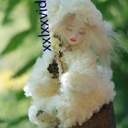 xxlxxvido