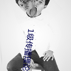 1级传播理论388484