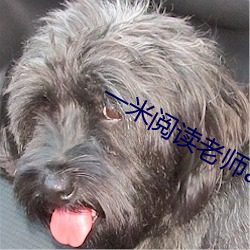 一米阅读(讀)老师app下载