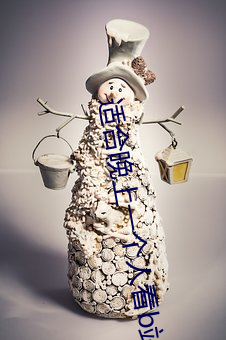 适合晚上一个人看b站的软件 丰屋之祸）