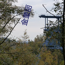 金奎丽 （引酵）