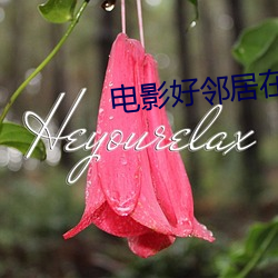 电影好邻居在线观看 （寒门）