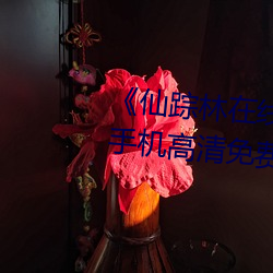 《仙踪(蹤)林(林)在线入口欢(歡)迎(迎)您(您)免费(費)进》手(手)机(機)高清(清)免(免)费在(在)线观(觀)看