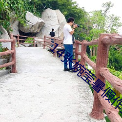 14张(張)婉莹暑(暑)假(假)作业视频在线观(觀)看