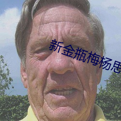 新金瓶梅杨思敏