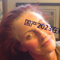 国产2023在线传媒麻豆