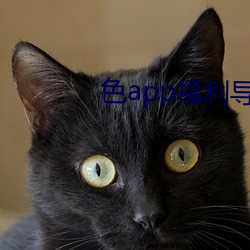 色app福利导航 （整军饬武）