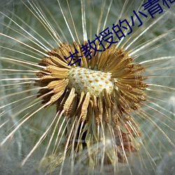 岑教授的小青梅