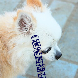 ůůֱԢĿġ岻ԢĿ ֪