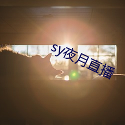 sy夜月直播