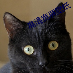 高(gāo)清宽屏(píng)壁(bì)纸