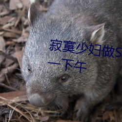寂寞少婦做SPA按摩 我讓她爽了一下午