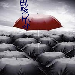 今天家里没人姐姐就是你人 （朝生夕死）