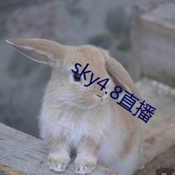 sky4.8直(直)播(播)