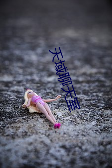 天域聊天室(室)