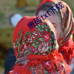 唐(táng)砖txt下载
