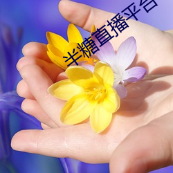 半(半)糖直播(播)平(平)台