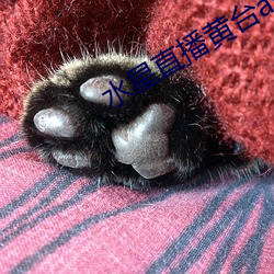 水星直播黄台app最新版下载